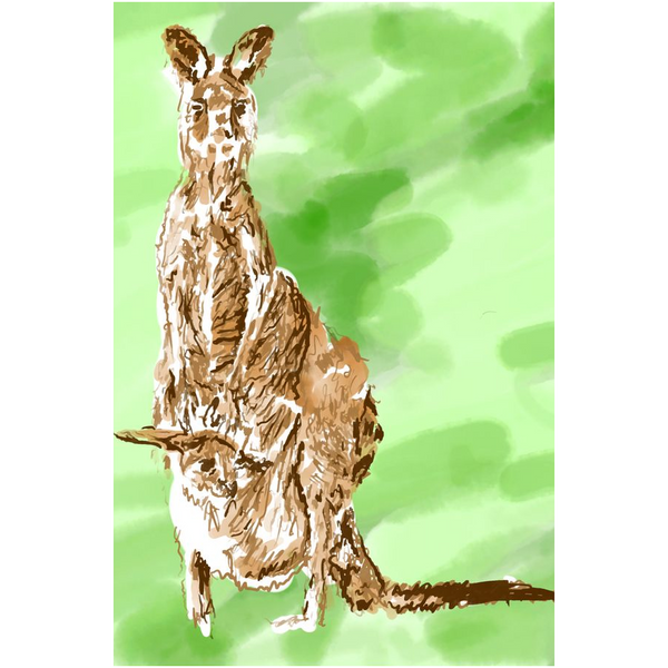 Kangaroo - Giclee Art Prints
