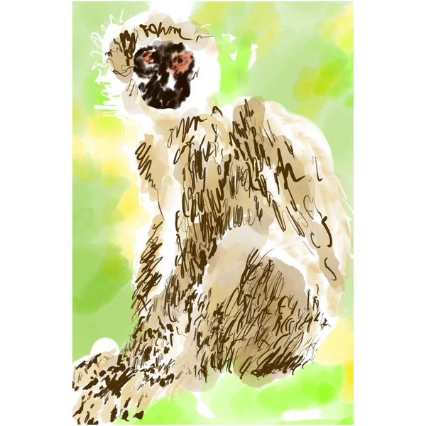 Monkey - Giclee Art Prints