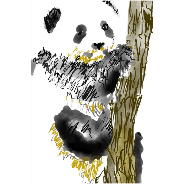 Panda - Giclee Art Prints