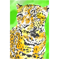 Leopard - Giclee Art Prints