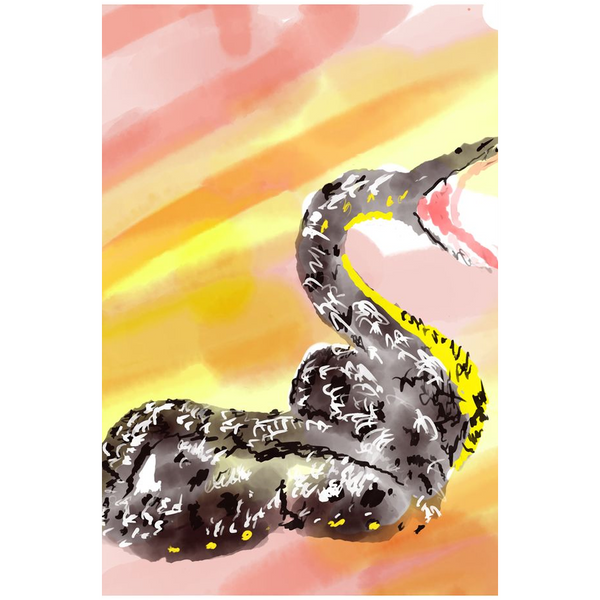 Snake - Giclee Art Prints