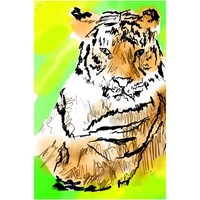 Tiger - Giclee Art Prints