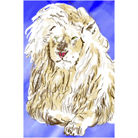 Lion - Giclee Art Prints