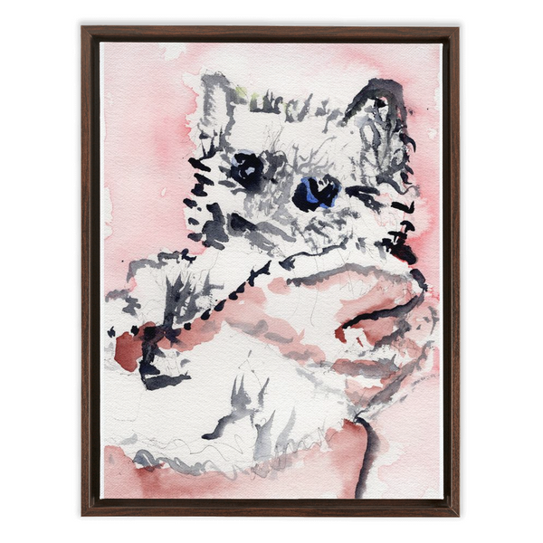 Kitten - Framed Canvas Wraps