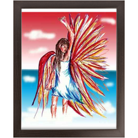 Economy Framed Prints flight