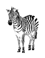 Zoey the Zebra - signed children's book print - Dan Joyce art