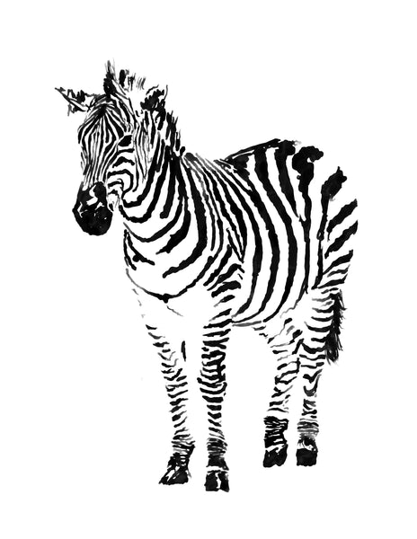 Zoey the Zebra - signed children's book print - Dan Joyce art